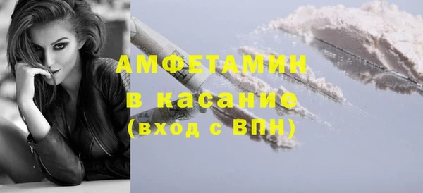 прущие грибы Алзамай